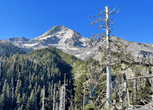 13 Weekend Trips From Portland | Insider’s Guide on Best Spots